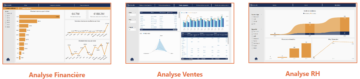 Analyse financière, analyse des ventes, analyse RH